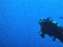 DSC00390.JPG