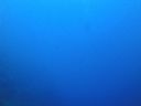 DSC00391.JPG