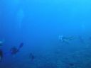 DSC00392.JPG