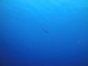 DSC00393.JPG