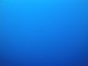 DSC00394.JPG