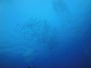 DSC00397.JPG