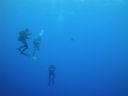 DSC00400.JPG