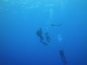 DSC00401.JPG