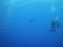 DSC00402.JPG