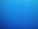 DSC00403.JPG