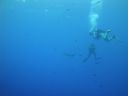 DSC00404.JPG