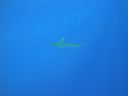 DSC00410.JPG