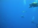 DSC00411.JPG