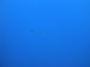 DSC00417.JPG