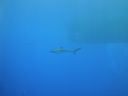DSC00421.JPG