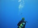 DSC00422.JPG