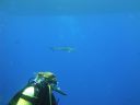 DSC00423.JPG