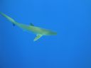 DSC00429.JPG