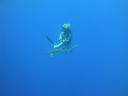 DSC00433.JPG