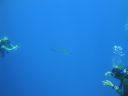 DSC00438.JPG