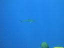DSC00440.JPG