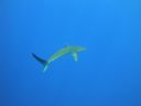 DSC00442.JPG