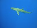 DSC00444.JPG