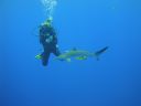 DSC00448.JPG