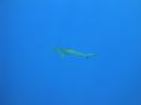 DSC00449.JPG