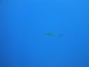 DSC00450.JPG