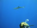 DSC00452.JPG