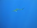DSC00453.JPG