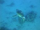 DSC00474.JPG