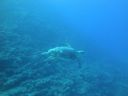 DSC00475.JPG
