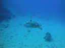 DSC00478.JPG