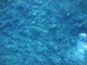 DSC00479.JPG