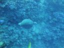 DSC00480.JPG