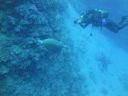 DSC00481.JPG