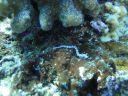 DSC00498.JPG