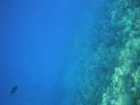 DSC00509.JPG