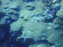 DSC00513.JPG