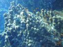 DSC00517.JPG