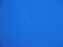 DSC00526.JPG