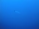 DSC00528.JPG