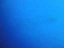 DSC00532.JPG