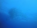 DSC00538.JPG