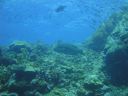 DSC00540.JPG