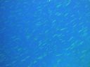 DSC00546.JPG