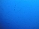 DSC00565.JPG