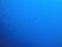 DSC00567.JPG