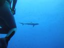 DSC00569.JPG