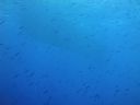 DSC00573.JPG
