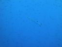 DSC00575.JPG