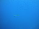 DSC00576.JPG